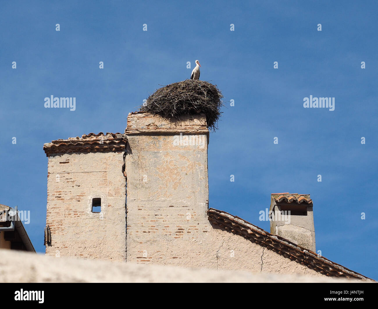 a stalk profile sitting on nest nesting in a chimney on the top tiled tiling roof rooftop of a Spanish house gable in Segovia Spain Stock Photo