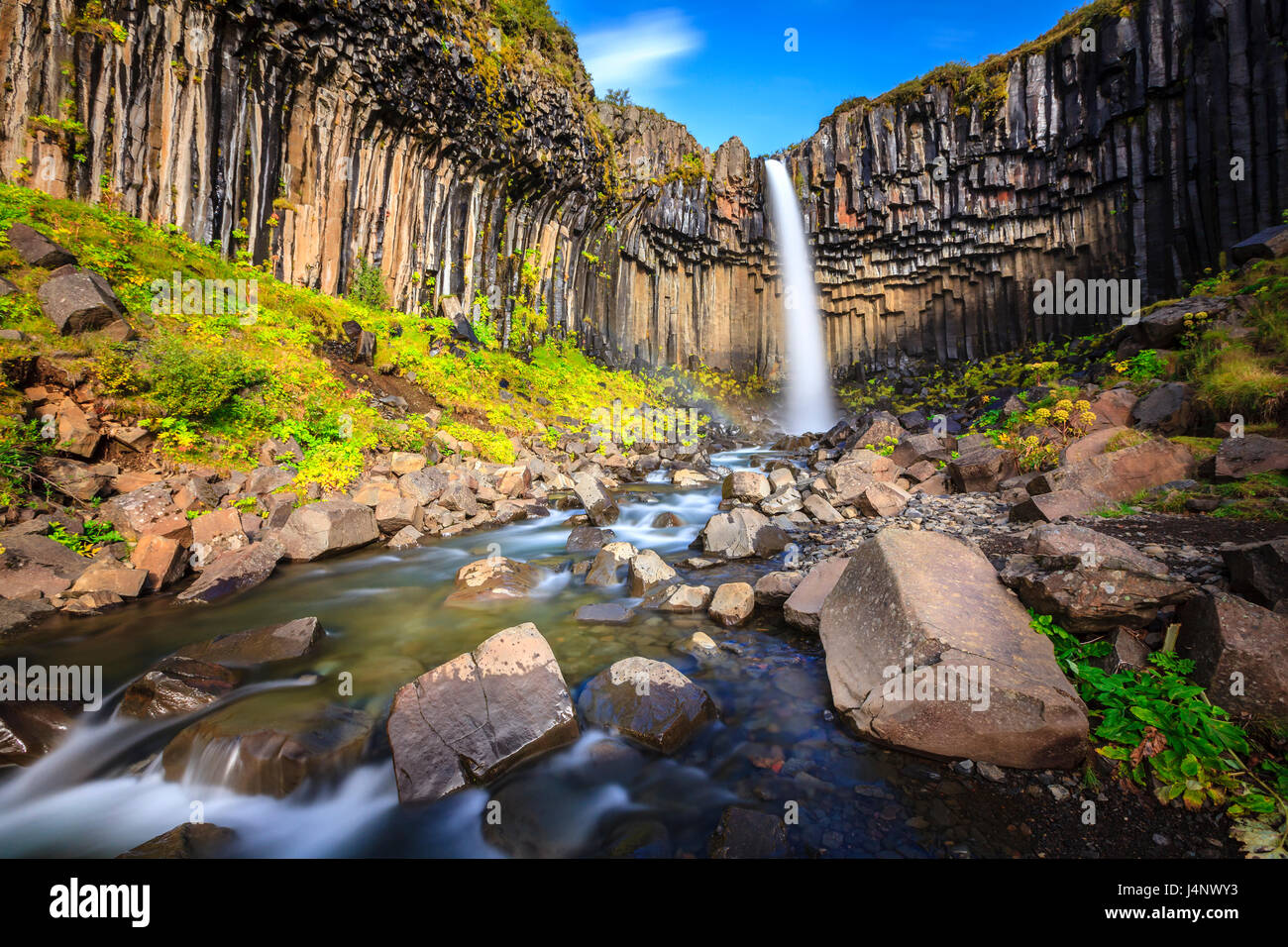Svartifoss waterfall surrounded by basalt columns in the south of Iceland Stock Photo