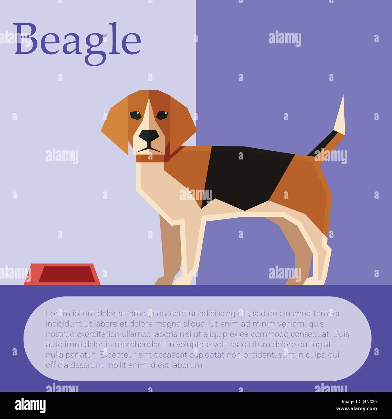 Beagle colourful postcard Stock Vector