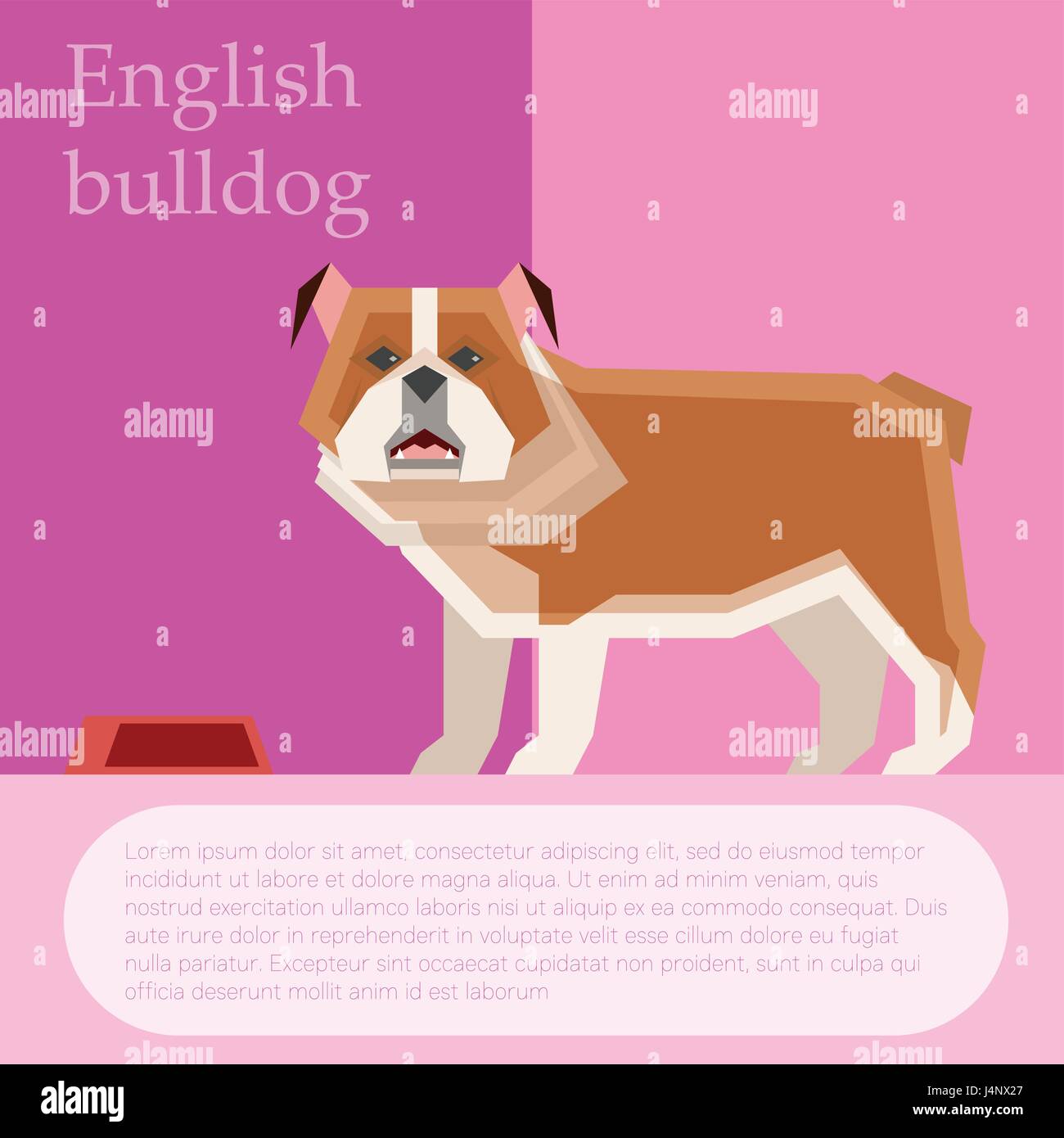 English buldog postcard Stock Vector