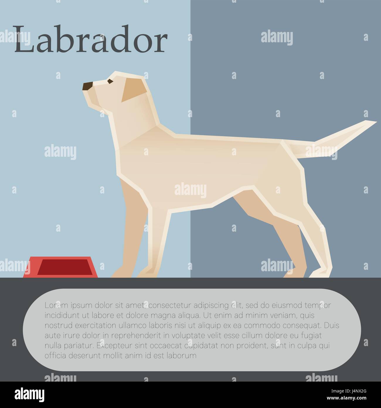 Labrador colourful postcard Stock Vector