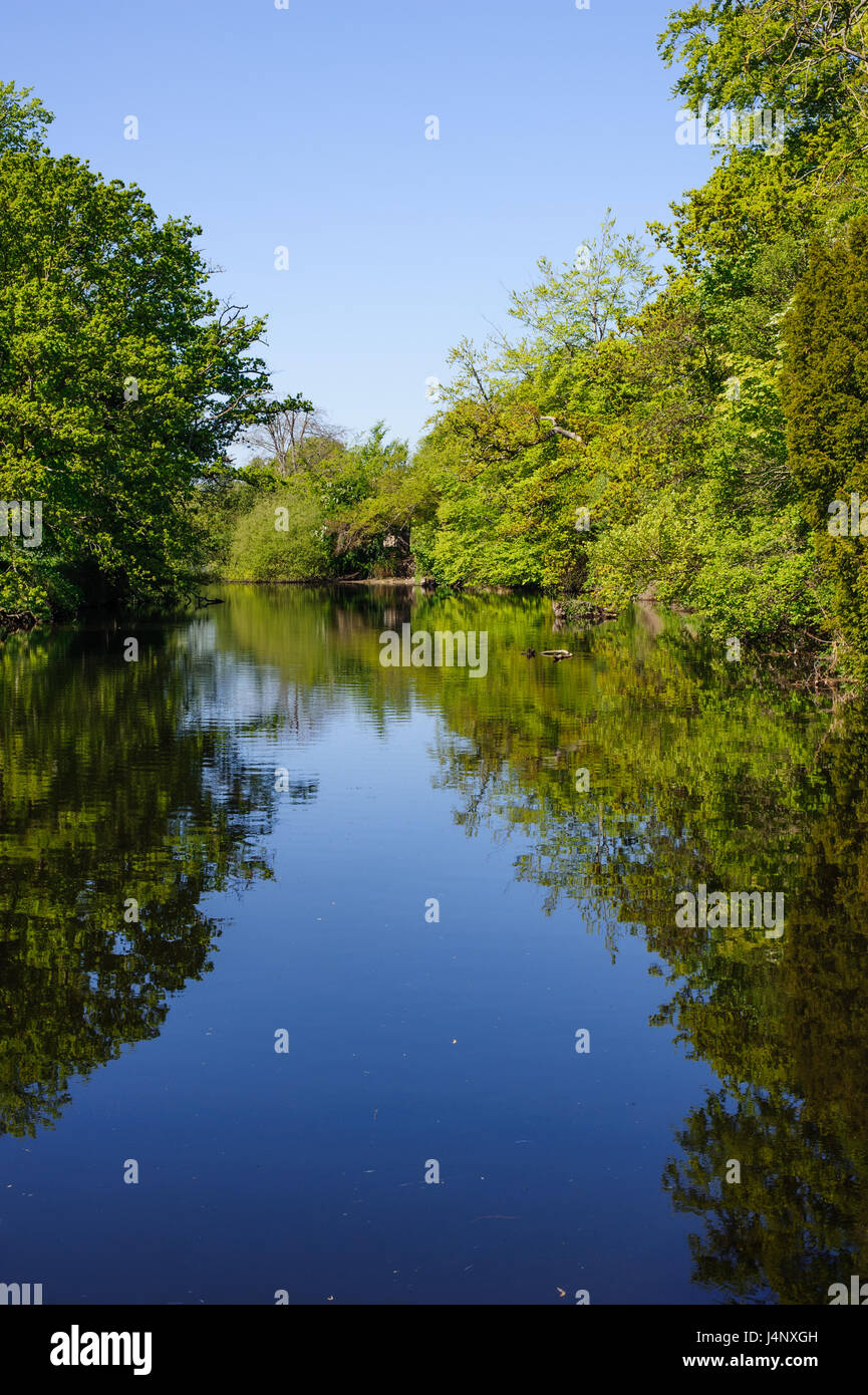 View on the river Liffey in spring time, Co. Kildare, Ireland Stock Photo