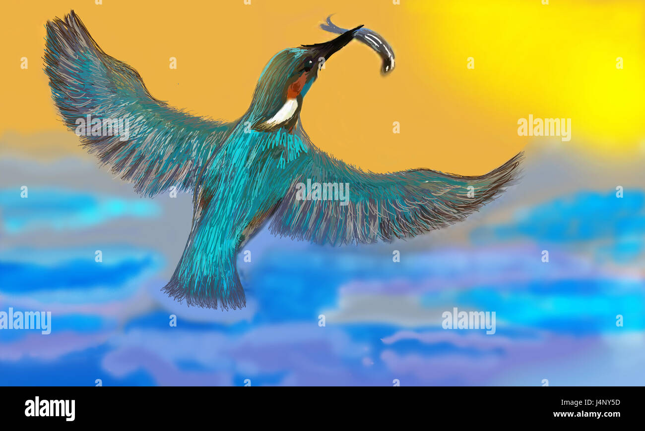 illustration san martin bird, martin pescatore colour of nature Stock Photo