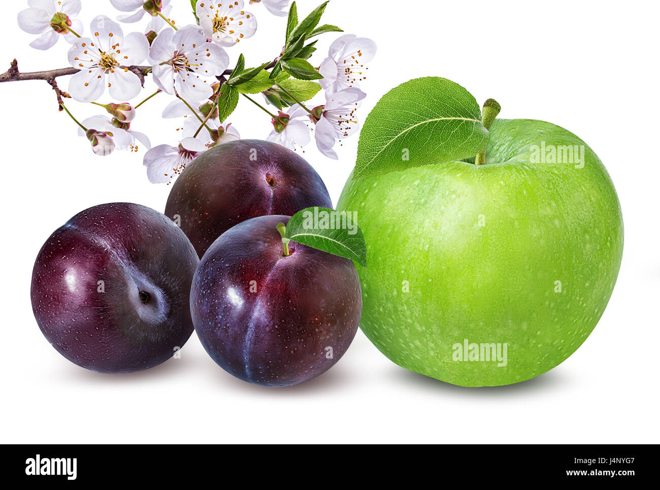 apples and plum isolated on white background Stock Photo - Alamy
