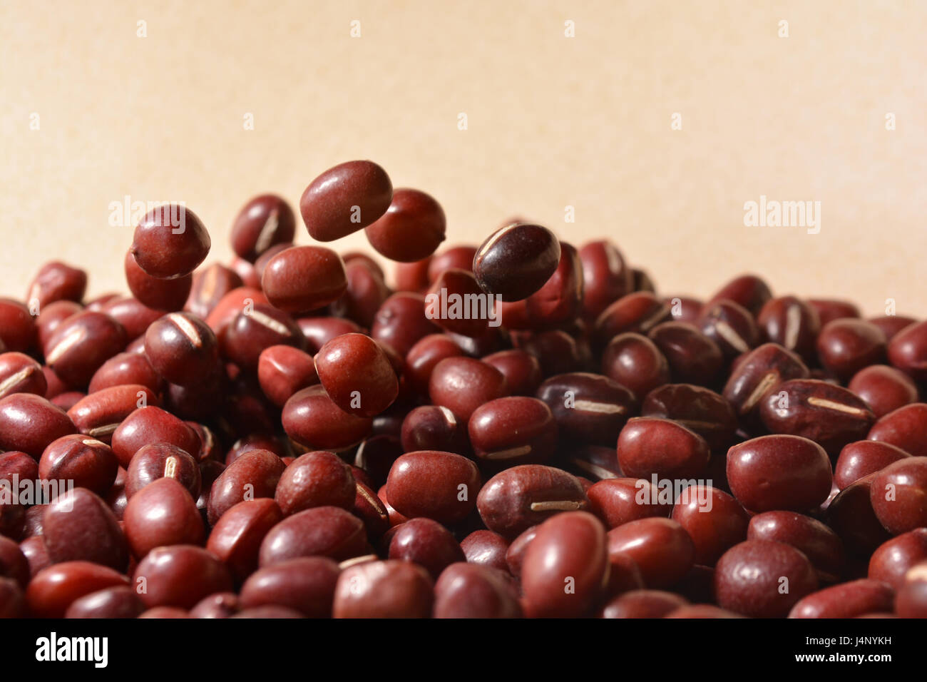 Red Adzuki Beans Stock Photo