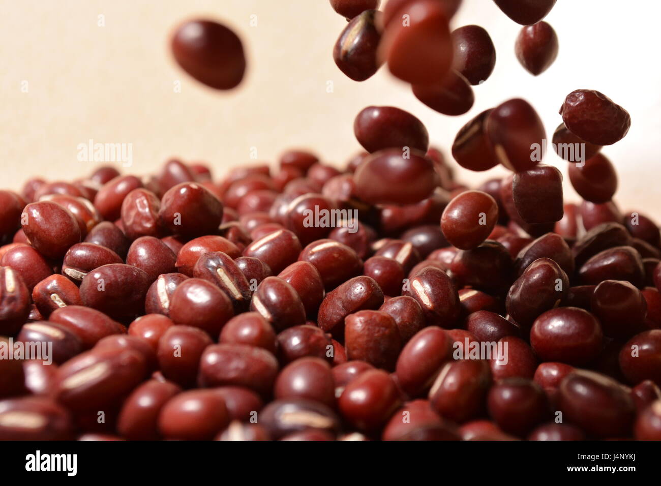 Red Adzuki Beans Stock Photo