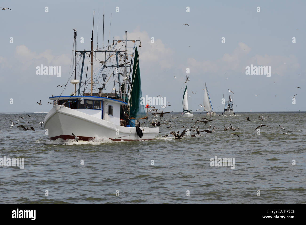 Fishing vessel and sailboats surrounded by sea birds Stock Photo