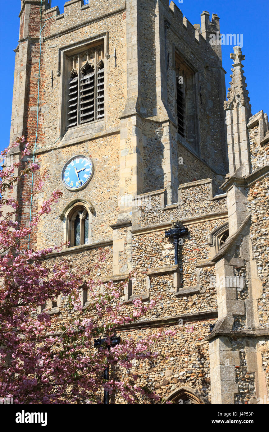 Tower of St. Mary's Church (Detail), Great Dunmow, Essex, England Stock