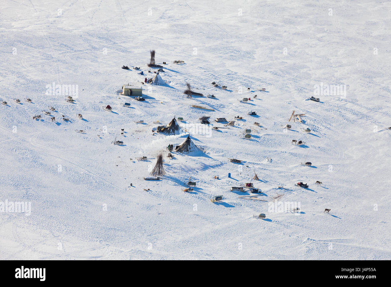 Deer in the winter tundra beside nomadic yurt, top view Stock Photo