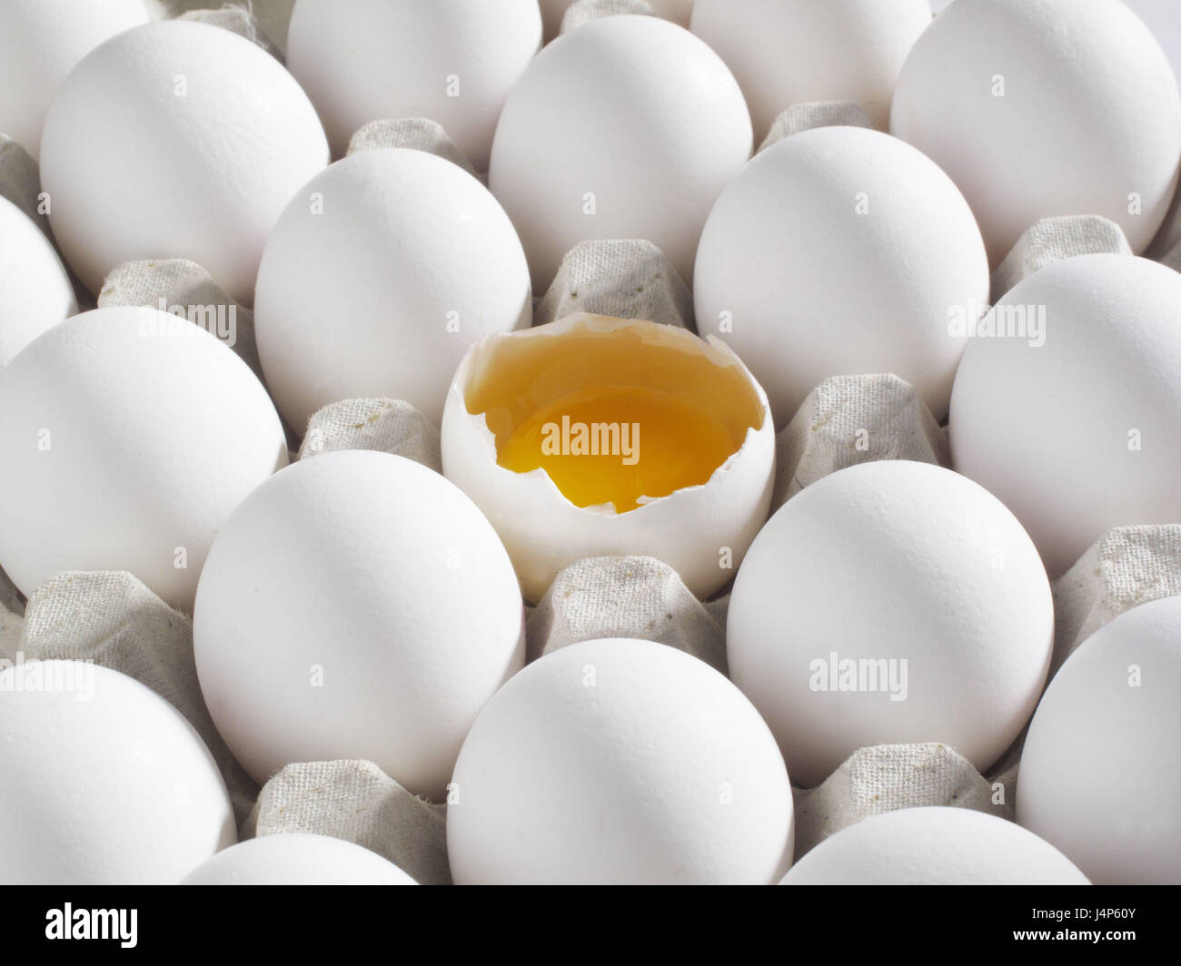 Egg carton, eggs, completely, opened, cardboard, poultry eggs, white