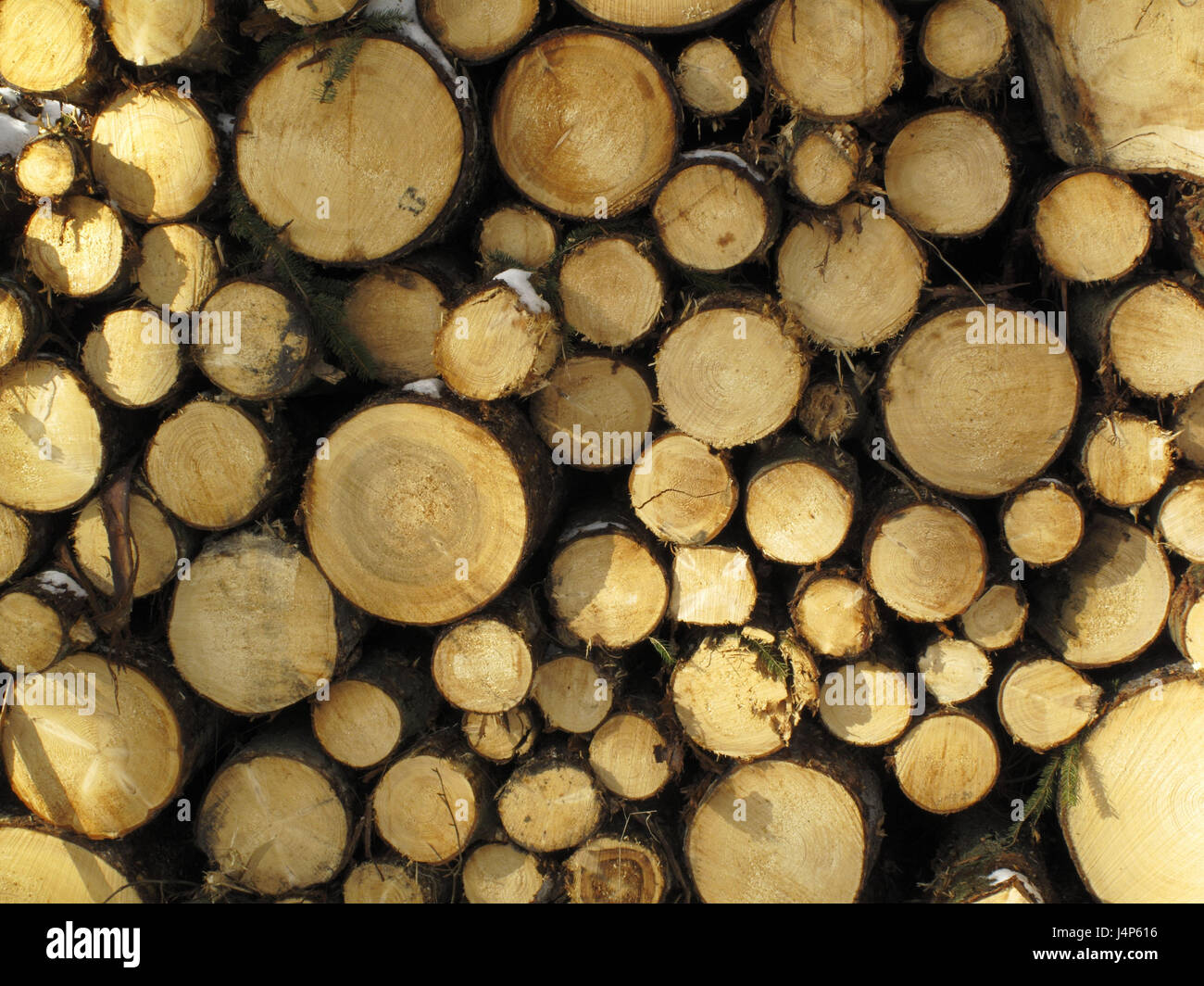 Pile of wood, trunks, detail, heap of impact, pines, trees, strains, firewood, woodwork, energy, fire woodwork, chimney woodwork, wooden batch, batch, raised, storage, drying, heating, heat, fuel, energy supplier, natural, raw material, renewable, growing again, Stock Photo