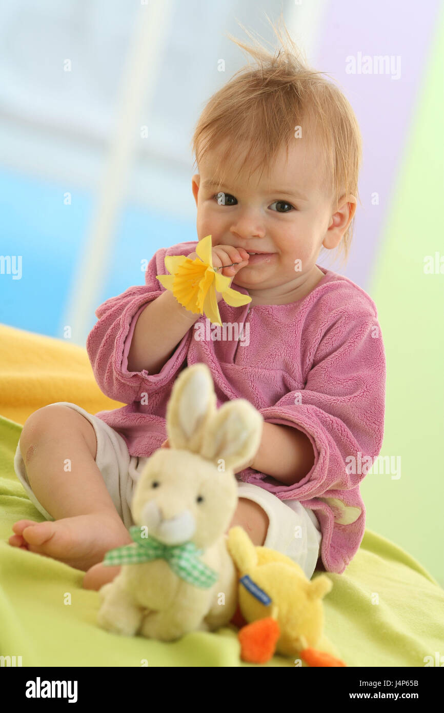 Baby, 8 months, sit, substance blossom, Easter bunny, model released, Easter, spring, teethe, bite herumkauen, people, child, infant, dresses, blond, Indoor, facial play, girl, nonsense animal, play, toys, narcissus, blossom, soft toys, Stock Photo
