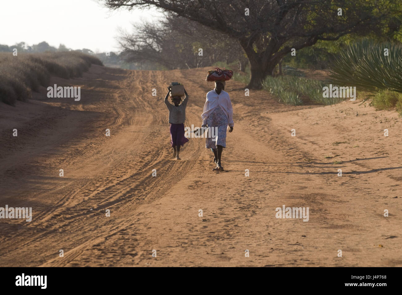 Madagascar, Berenty private pool, way, women, go, no model release, Stock Photo