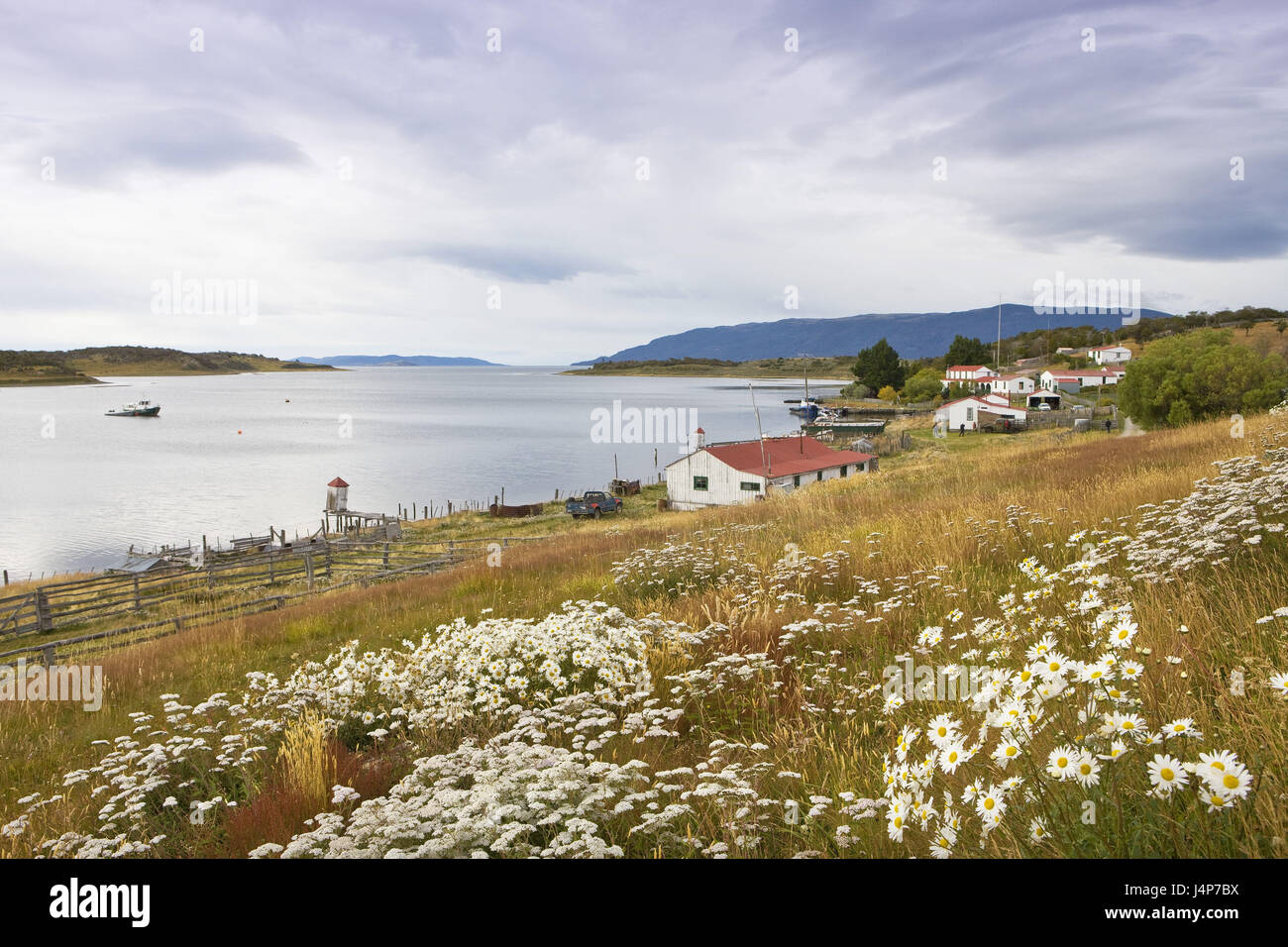 Argentina, Tierra del Fuego, Estancia, view, scenery, channel, Stock Photo