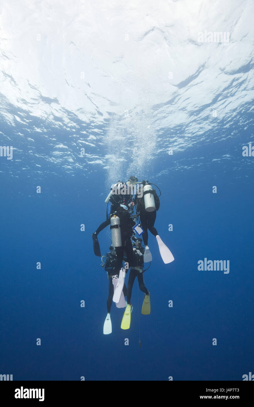 Swim underwater recording hires stock photography and images Alamy