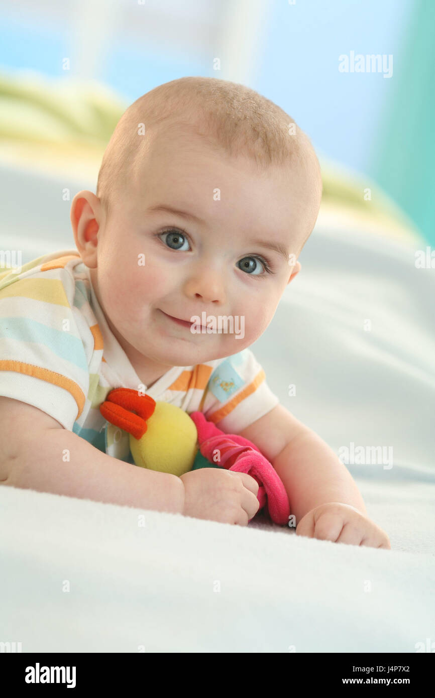 Baby, 4 months, smile, add support portrait, model released, people, baby portrait, child portrait, child, infant, abdominal position, dressed, Indoor, boy, lie, nonsense animal, toys, Stock Photo