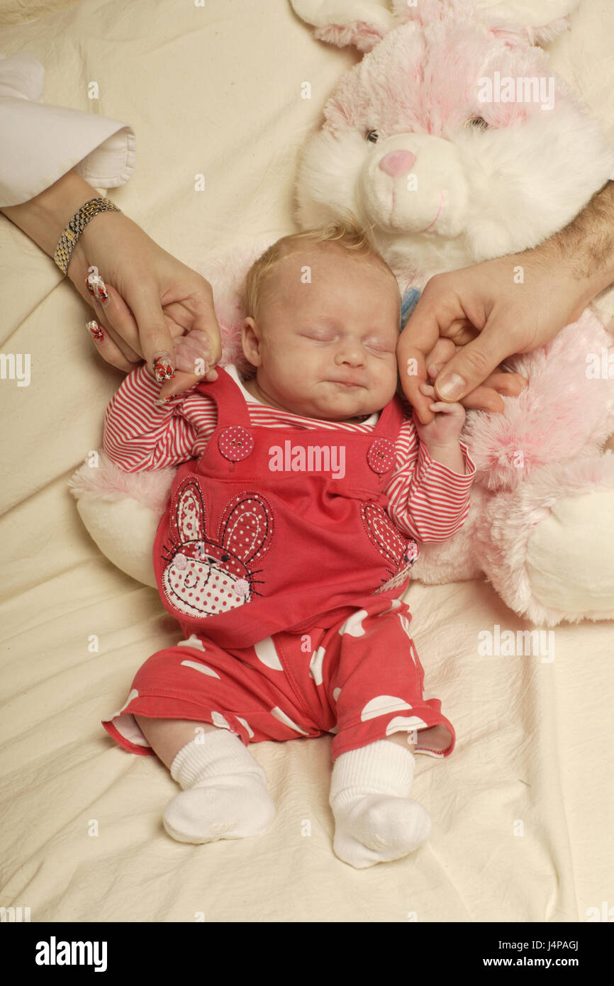 Parental hands with baby, sleep, model released, Stock Photo