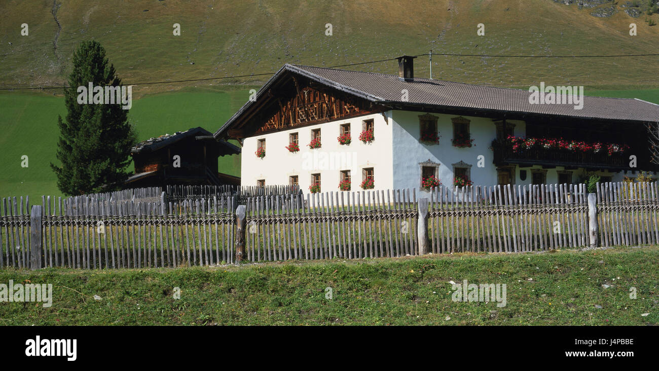 Austria, Tyrol, Wipptal, farm, Valsertal, building, house, court, ancestral estate, meadows, fence, summer, Stock Photo