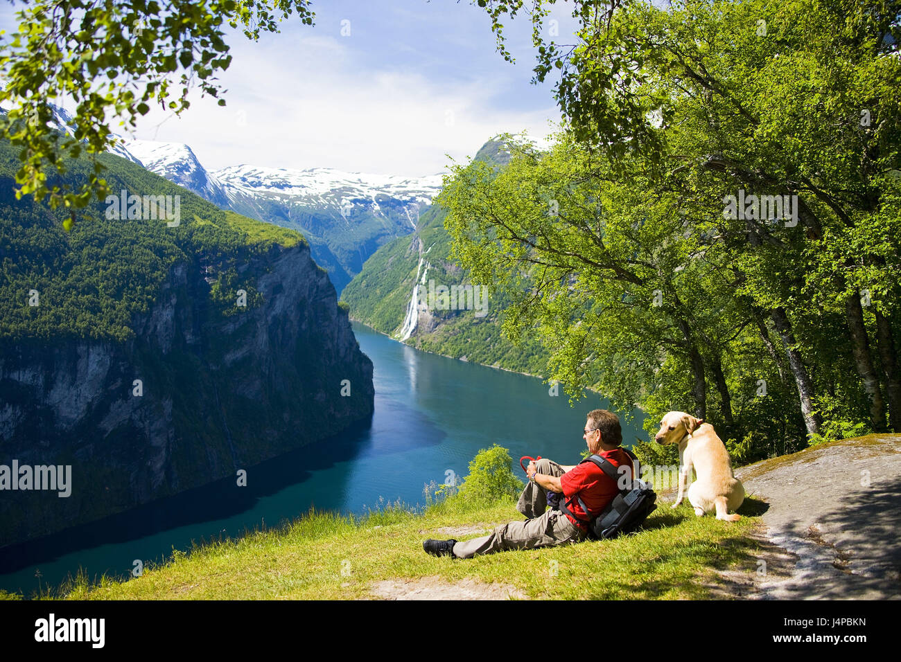 Norway, Geirangerfjord, view, waterfalls seven sisters, man, dog, sit, no model release, Stock Photo