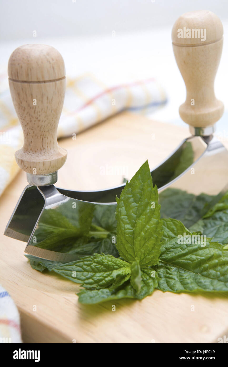 Herbs, fresh mint, cutting edge springboard, cradle knife, detail, Stock Photo