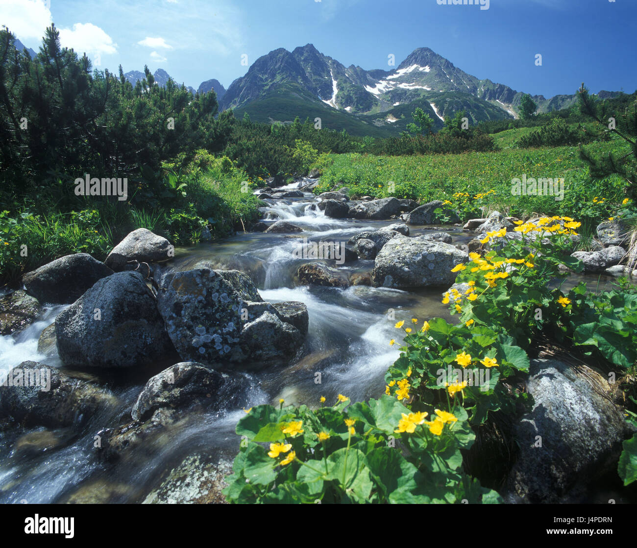 Slovakia, national park, Dolina Bielej vody, the high Tatra Mountains, scenery, Stock Photo