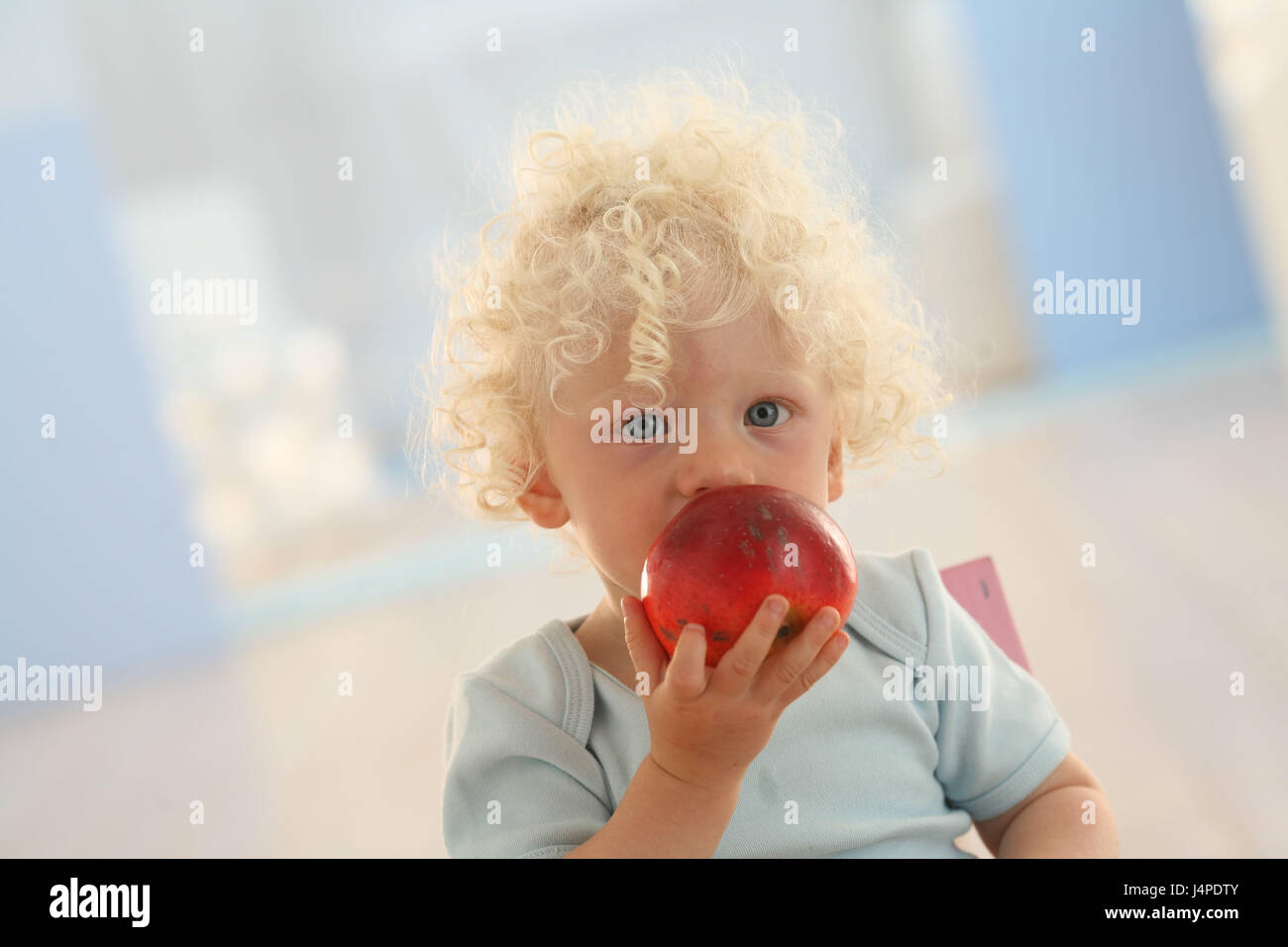 Infant, apple, eat, portrait, Stock Photo
