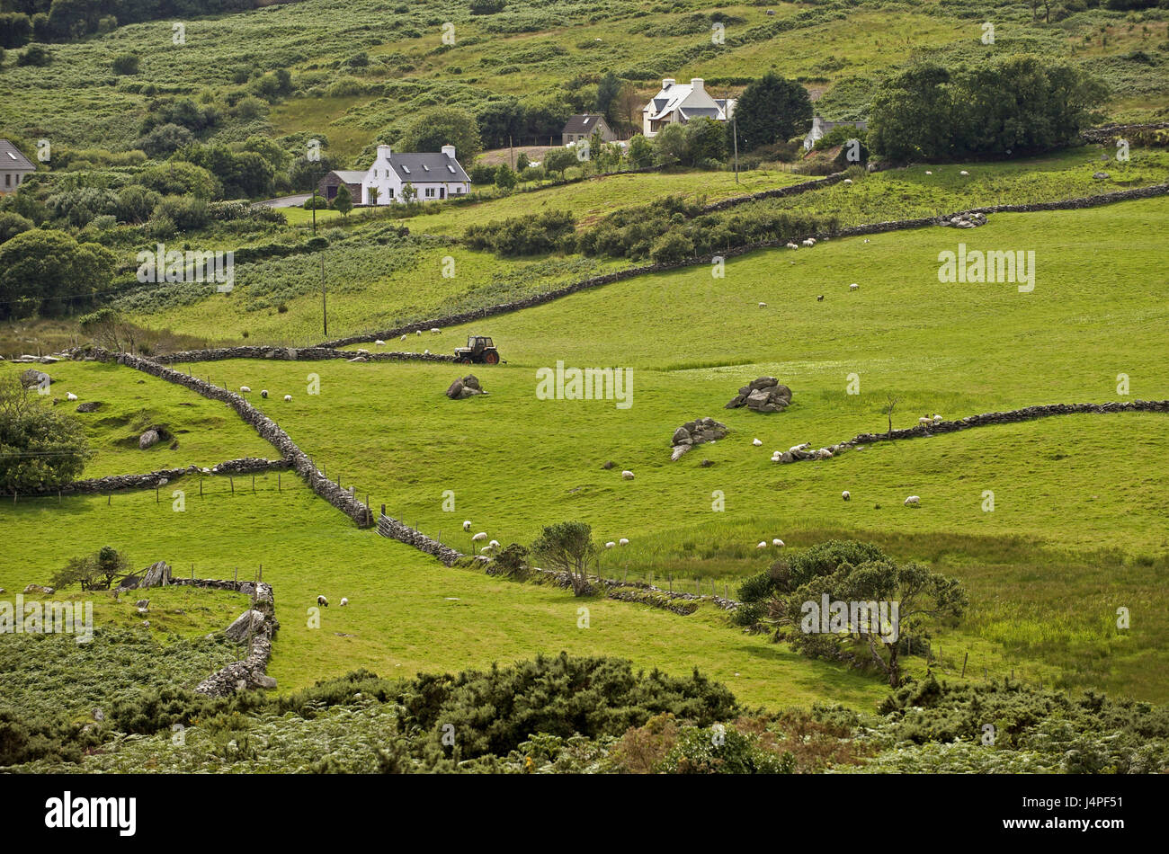 Stone Farmhouse In Ireland Hi Res Stock Photography And Images Alamy