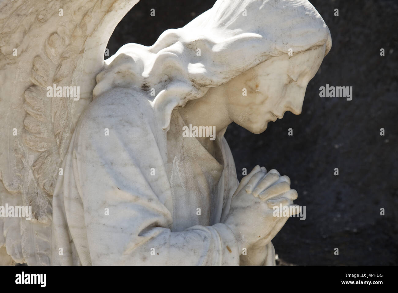 El Salvador, San Salvador, cemetery, angel, detail, Stock Photo