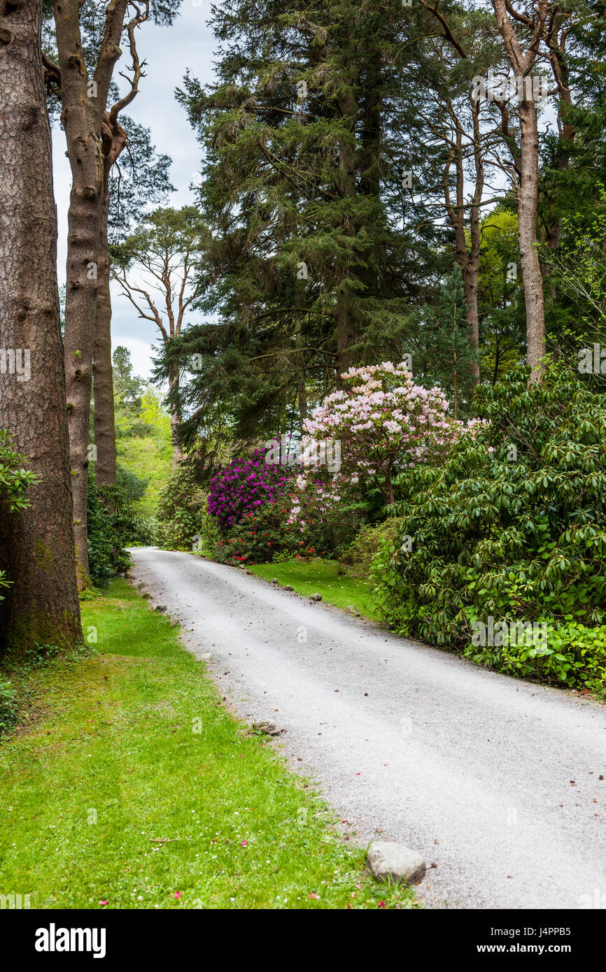 The driveway through Mirehouse Gardens, near Keswick, Lake District