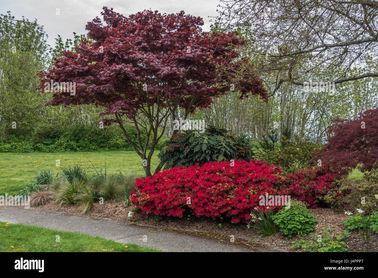 A veiw of trees and flowers at Hamilton Viewpoint Park in West Seattle