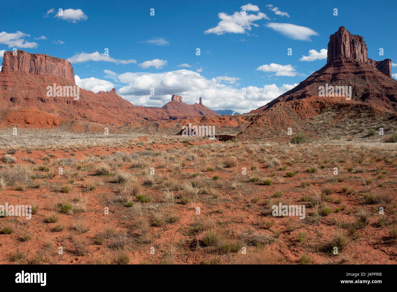 Ida Gulch, near Moab, Utah. If it looks like John Wayne should come