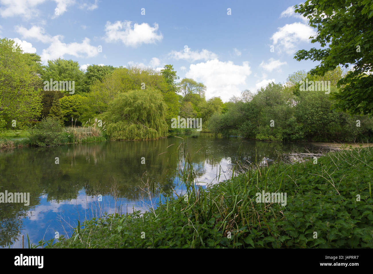 kingston-maurward-college-stock-photo-alamy