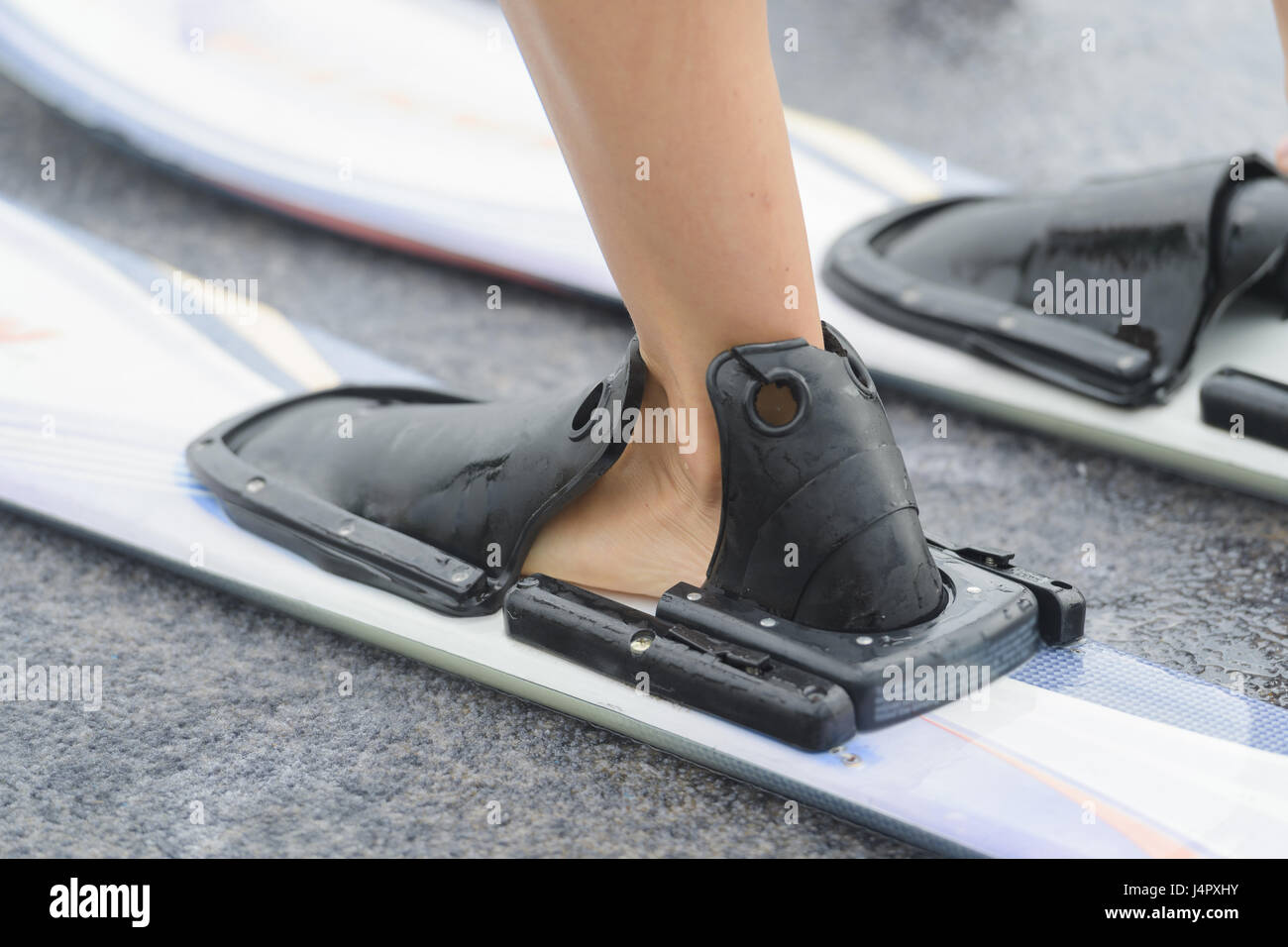 putting on water skis Stock Photo Alamy