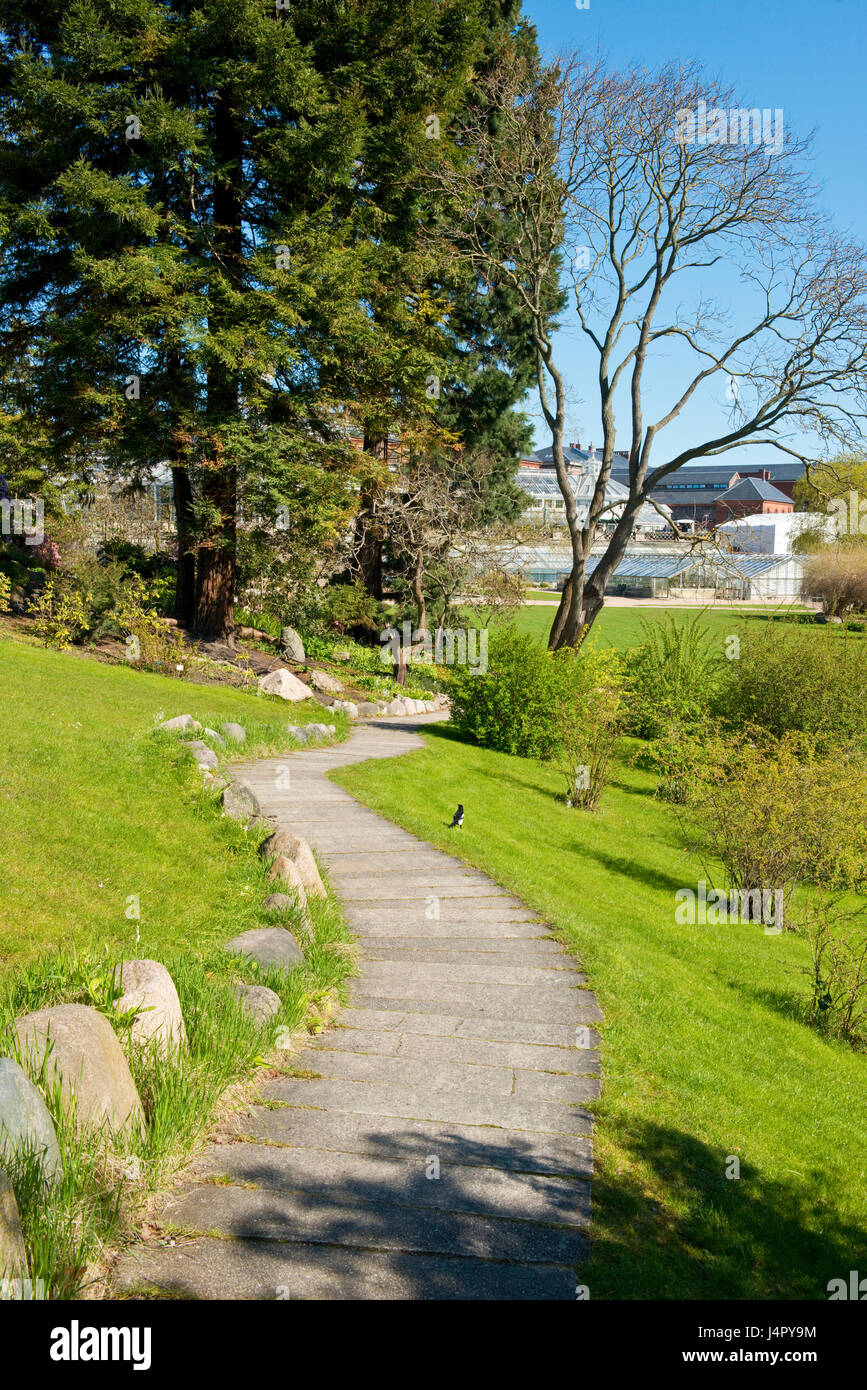 Meandering path in the Royal Botanical Gardens, Copenhagen, Denmark