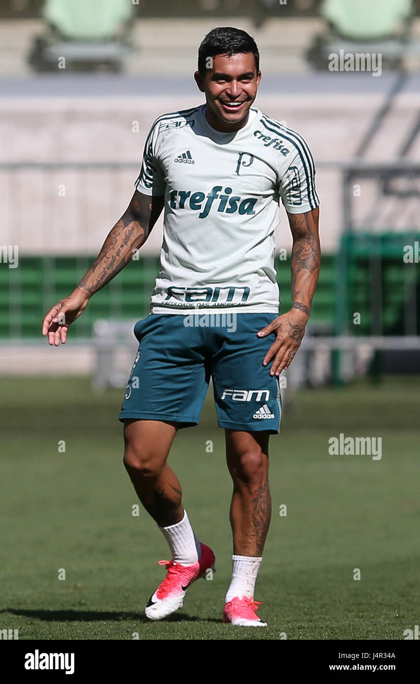 SÃO PAULO, SP - 13.05.2017: TREINO DO PALMEIRAS - The player Dudu, of the  SE Palmeiras, during training, in the Arena Allianz Park. (Photo: Cesar  Greco/Fotoarena Stock Photo - Alamy