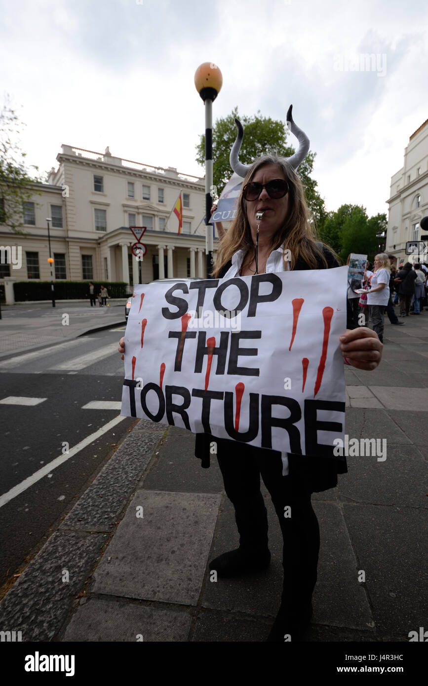 Animal rights campaign hi-res stock photography and images - Alamy