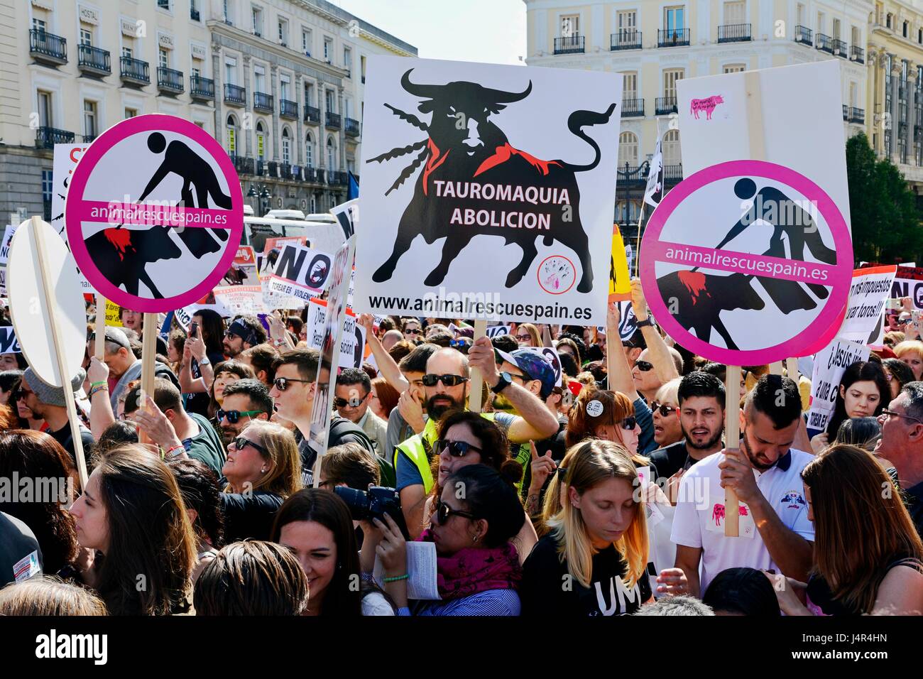 Madrid, Spain. 13th may, 2017. Coinciding with the beginning of the bullfighting fair of San Isidro, several animal associations celebrate a demonstration in the center of Madrid that has joined thousands of protesters. Bullfighting is Violence, a campaign arranged by 17 organisations in order to get the abolition of all types of bullfighting.  Photo: M.Ramirez/Alamy Live News Stock Photo