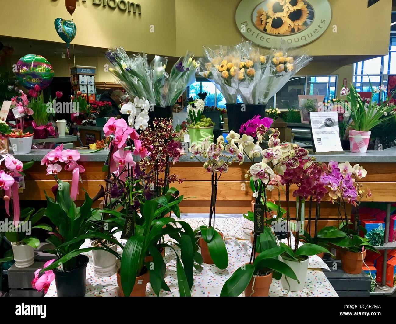 Maryland, USA - May 13, 2017: Floral arrangements, flowers, and plants at Safeway the night before mothers day. Photo credit: Jeramey Lende/Alamy Live News Stock Photo