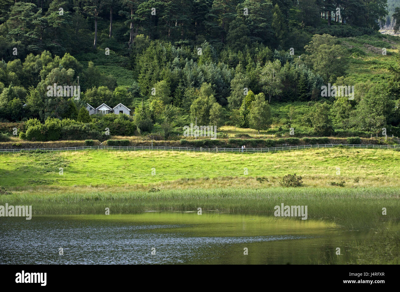 Ireland, Leinster, county Wicklow, Glendalough, Lower brine, Stock Photo