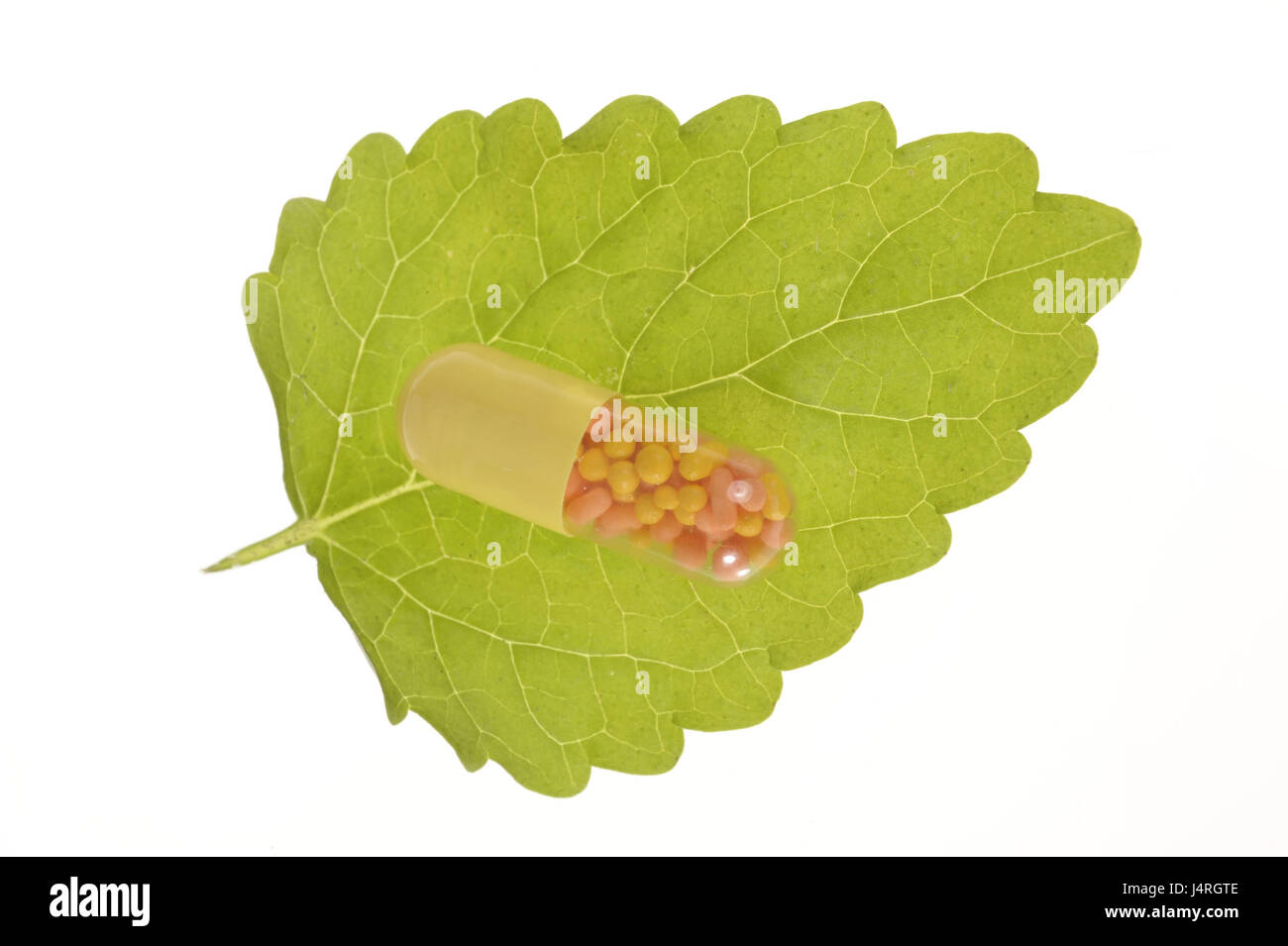 Drug, capsule, leaves, icon, nature medicine, Stock Photo