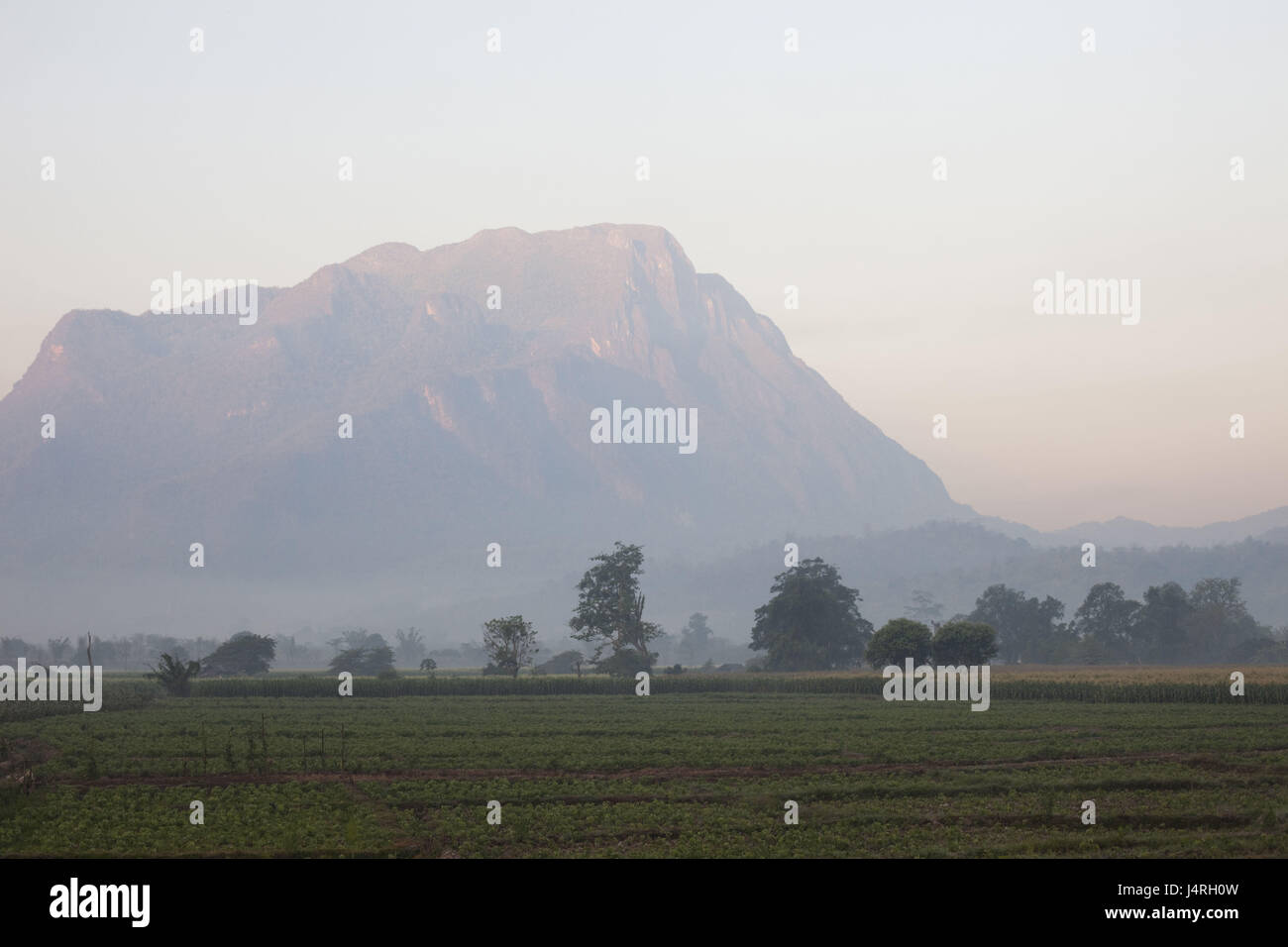 Thailand, golden top corner, Chiang May, scenery, mountains, fields, fog, Stock Photo