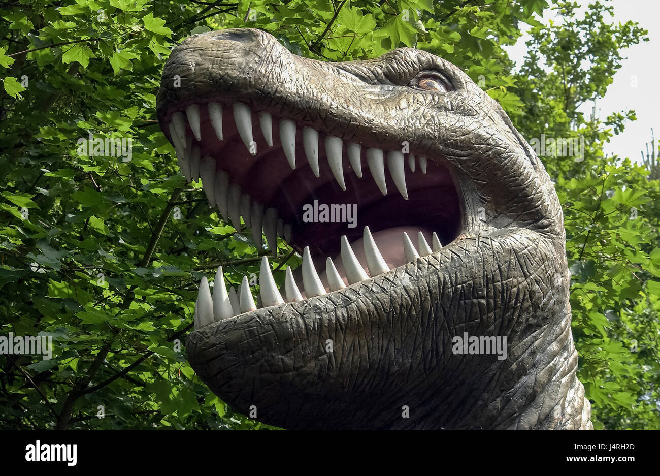 Model dinosaur. T Rex Stock Photo - Alamy