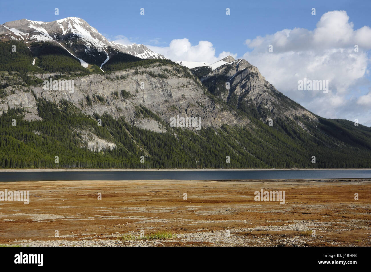 Level, stony, mountain lake, shore, mountains, wooded, sky, blue