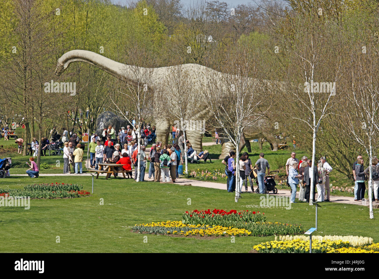 Germany rhineland palatinate kaiserslautern hires stock photography