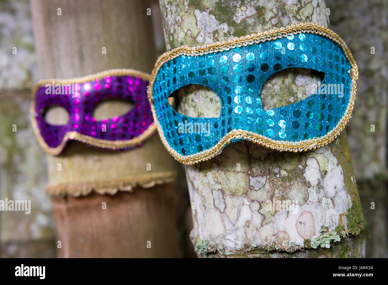 Carnival masks in glittery blue and purple hang on tropical bamboo trunks in Rio de Janeiro, Brazil Stock Photo