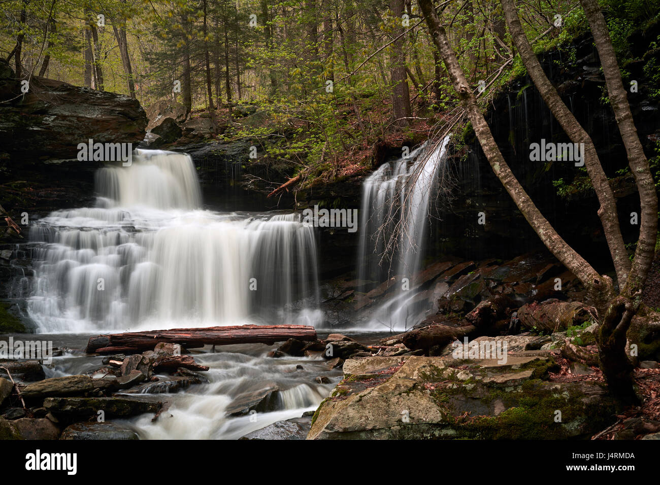 Ricketts Glen State Park, Benton, Pennsylvania, USA Stock Photo Alamy