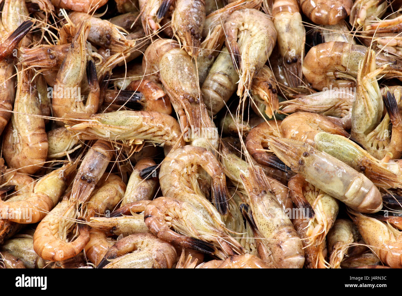 Shrimp pots hi-res stock photography and images - Alamy