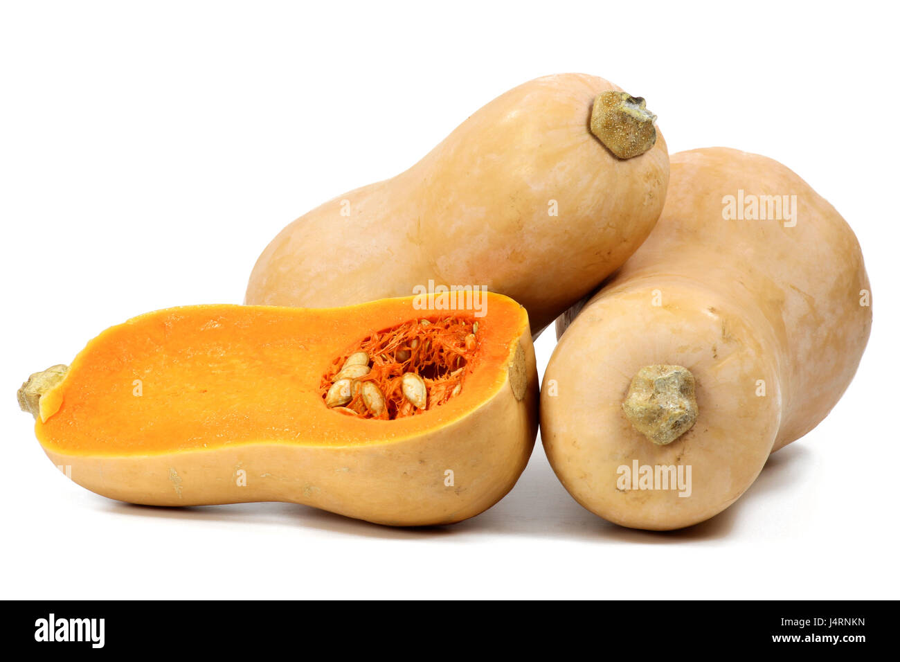 butternut squash isolated on white background Stock Photo