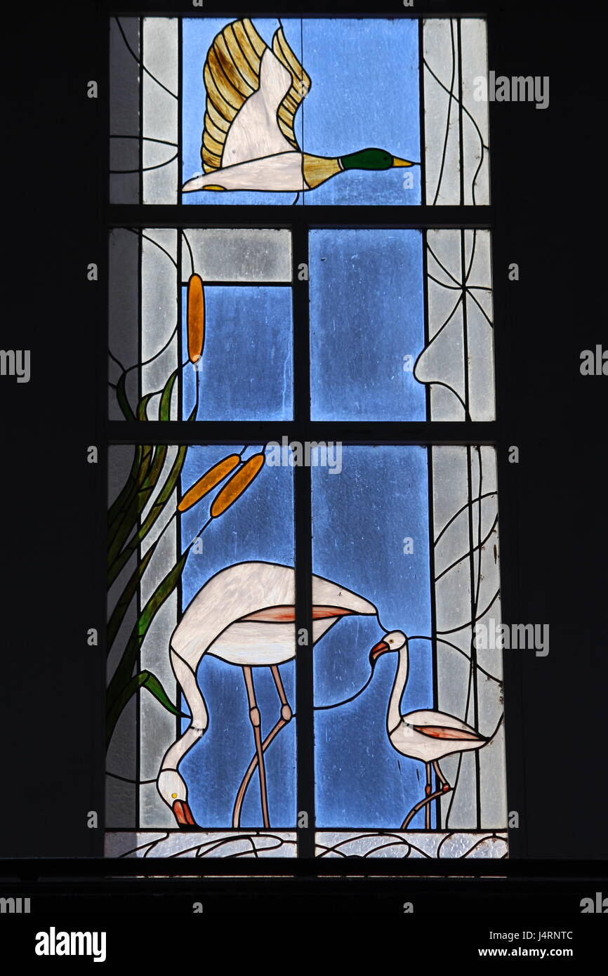 Stained glass windows in market in  Amposta showing flamingos and other birdlife found on the River Ebro delta Stock Photo