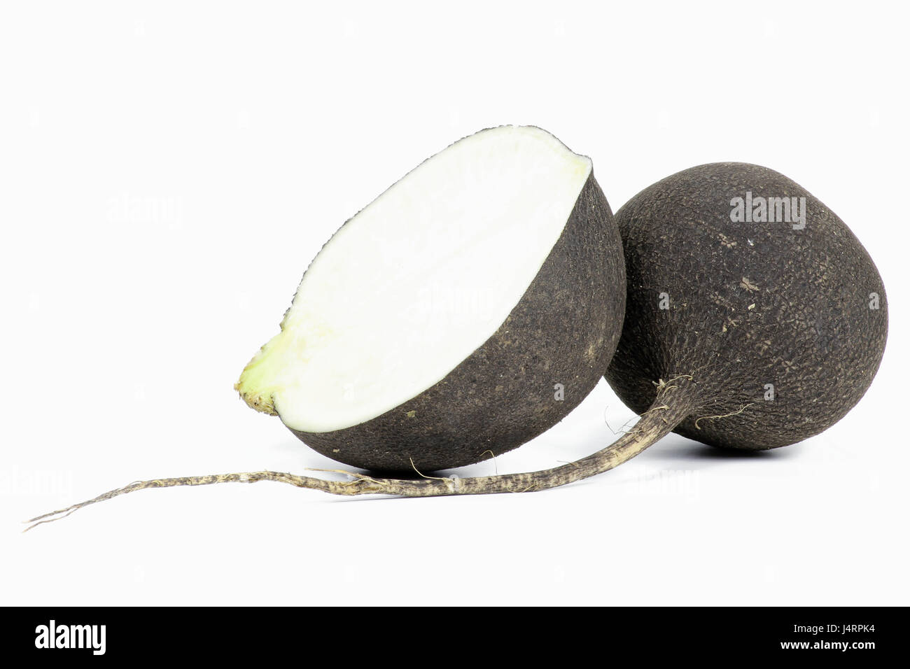 black radish isolated on white background Stock Photo - Alamy